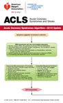 cover image for ACLS Digital Reference Card Set (2 of 2), International English