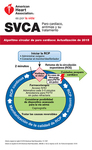 cover image for Juego de tarjetas de referencia digital de SVCA/ACLS (1 de 2)
