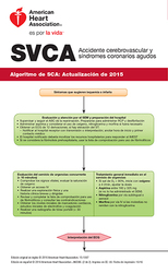 cover image of Juego de tarjetas de referencia digital de SVCA/ACLS (2 de 2)