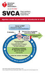 cover image of Juego de tarjetas de referencia digital de SVCA/ACLS