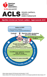 cover image of Schede di riferimento digitali ACLS (1 di 2)