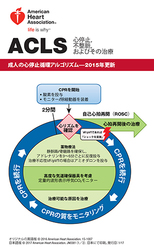 cover image of ACLS デジタルリファレンスカードセット(1の2)