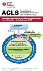 cover image of Digitales ACLS-Referenzkartenset (1 von 2)