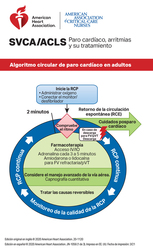 cover image of Tarjeta de referencia digital de SVCA/ACLS