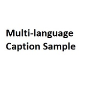 cover image of Multi Language Caption Sample
