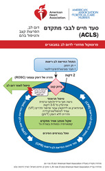cover image of Hebrew Advanced Cardiovascular Life Support Digital Reference Cards