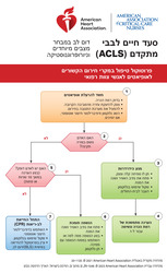 cover image of Hebrew Advanced Cardiovascular Life Support Digital Reference Cards